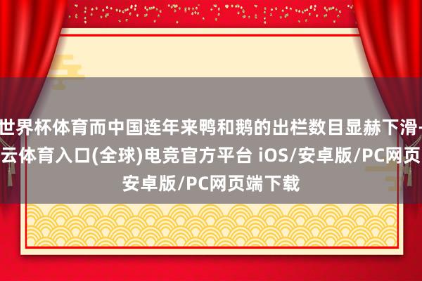 世界杯体育而中国连年来鸭和鹅的出栏数目显赫下滑-开yun云体育入口(全球)电竞官方平台 iOS/安卓版/PC网页端下载